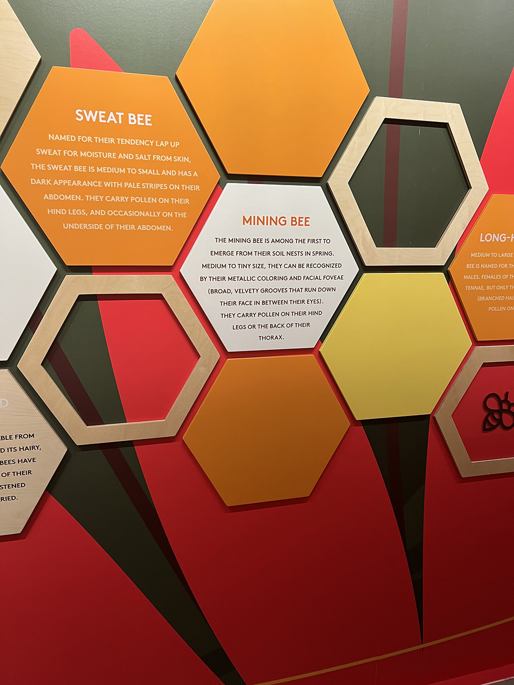 Signage Project Example 26